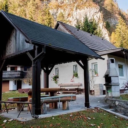 Rezidenca Mitja Villa Kranjska Gora Ngoại thất bức ảnh
