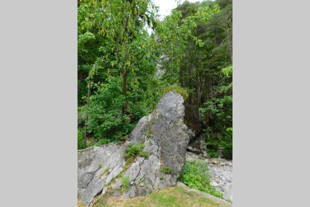 Rezidenca Mitja Villa Kranjska Gora Ngoại thất bức ảnh